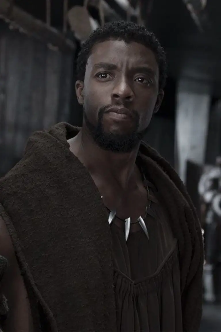 T'challa (Black Panther) avatar