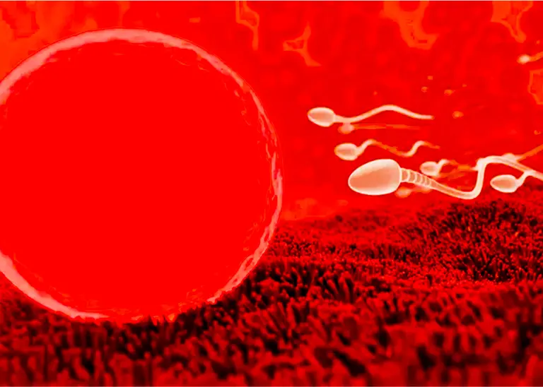 Inescapable White Clowns & White Bulls Breeding avatar