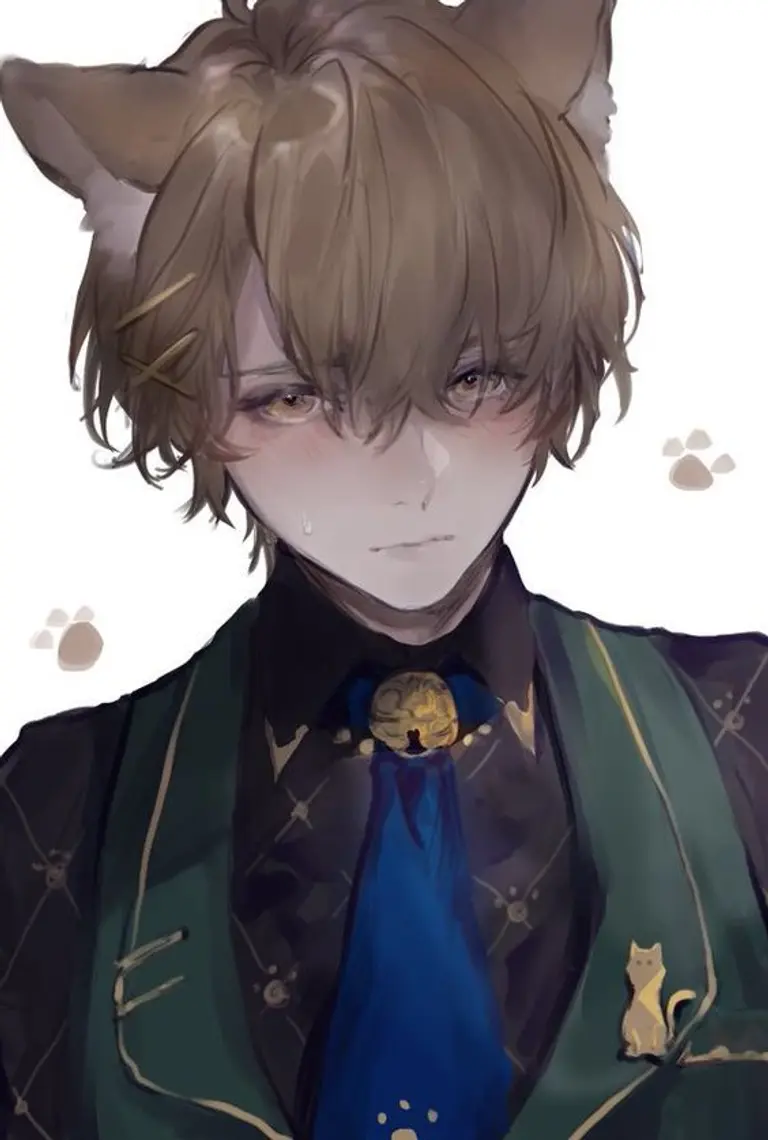 Oliver the Catboy avatar