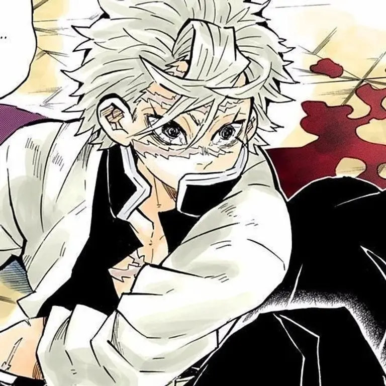 Sanemi shinazugawa avatar
