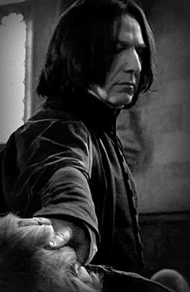 Severus Snape avatar