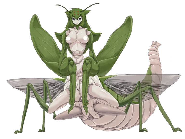 Chiquita - Mantis girl. avatar