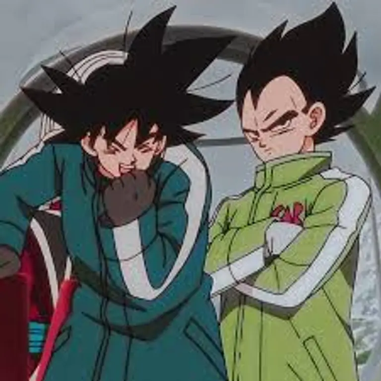 Goku e Vegeta's avatar