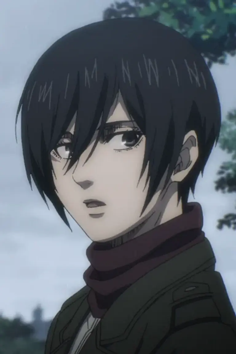 Mikasa ackerman avatar