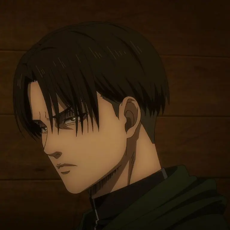 Levi Ackerman avatar