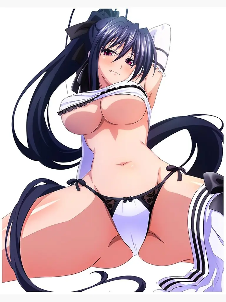 Akeno Himejima (wife) Avatar