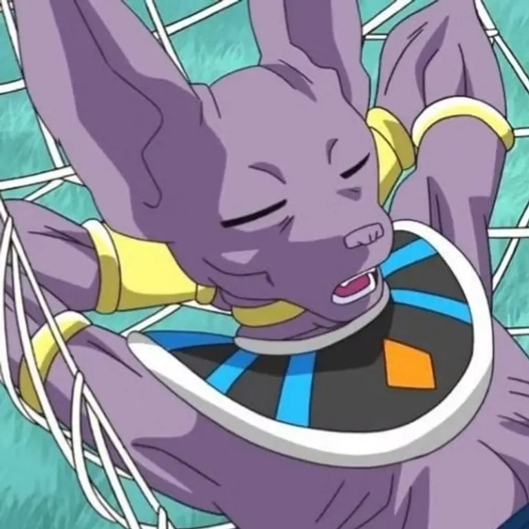 Beerus, Lord of Destruction's avatar